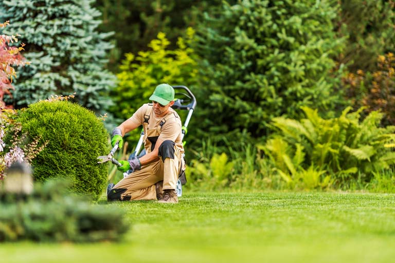 Gartenservice und Grünflächenpflege
